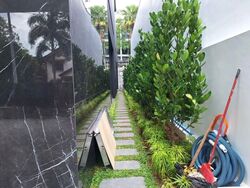 Holland Grove Park (D10), Detached #543900871